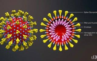 coronavirus indicazioni scuola