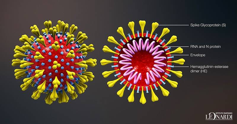 coronavirus indicazioni scuola